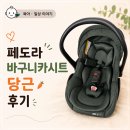 당근 | 페도라 바구니카시트 당근 후기｜신생아 사용기간 ｜ 당근 시세