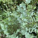 장미네농장 이미지