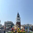 용인 *에버랜드* 산리오축제&amp;튤립축제&amp;나비존&amp;판타스틱윙스공연 + 아마존한교동굿즈 후기