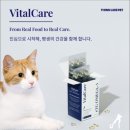 도도씽크 | 바이탈케어 알티지 오메가3 급여 후기