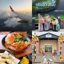 오케이셀프크리닝 | 제주도 애견동반여행 2박3일 후기 (기내 애견동반 &amp; 렌트카 / 애월역 카페)