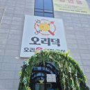 화도왕오리 | 남양주 화도 맛집 오리덕 내돈내산 후기, 부모님 취향 저격한 통창 정원 뷰 오리회전구이 솔직 리뷰