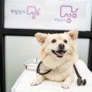 성남 시립동물병원 이미지