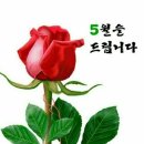 꽃길ㅡ윤 수연 노래ㅡ 아름다운 꽃영상 ㅡ 가사 첨부합니다ㅡ 이미지