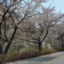 자진뱅이길 이미지