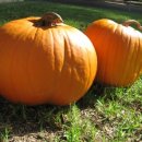 대들보정형외과의원 이미지