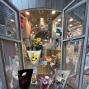 소화초등학교 이미지