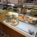 Bake 229(베이크 229) | 세종 보람동 카페 베이크229 세종시청 케이크 구움과자 맛집 bake229