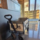 올레애견펜션 이미지