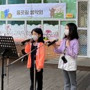 새빛초등학교 이미지