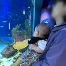 플라넷비AK수원 | 평택·수원 아기랑 갈만한 곳 추천! 광교 아쿠아플라넷 6개월 아기와 다녀온 솔직 후기