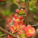 연필소묘 이미지