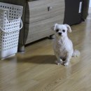 (주)닥터즈케어 이미지