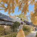 전동떡갈비앤브리즈 이미지