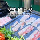 나리농장 네이버블로그