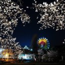 전주동물원 이미지