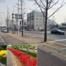 월드컵로 이미지