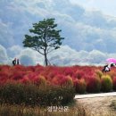 정원사진관