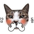 와우니꾸