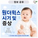 아이트리윅스(주) | 원더윅스 시기 및 증상 | 몇 주에 찾아올까? 발달도약과 확인할 신호