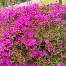 함지공원 이미지