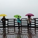 야긴과 보아스의 집 이미지