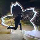 다녀온 병원, 갑상선기능저하증과 자가면역질환, &#39;류마티스병원&#39;에 대한 이야기. &#39;더편한류마마디의원&#39;