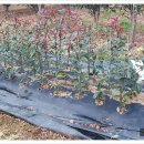 농원농산 이미지