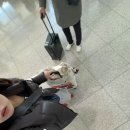 육천명가 | [칭다오] 팅부동팅부동(믹스몰, 루위, 무예슬거, 오사광장, 도미노피자, 샹이거)