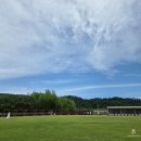 좋은 친구들 동물병원 | 넓은 강아지운동장에 수영장까지, 울산 개들랜드 애견카페 내돈내산 솔직 방문 후기