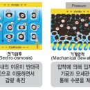 동일약품㈜ 네이버블로그