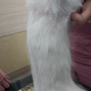 손수의과병원 이미지