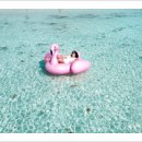 Y멀티짐 이미지