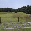 서늘기교 | [가을, 사비(6)]잊혀진 왕들의 정원, 부여 왕릉원