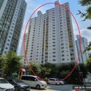 안진초등학교 이미지