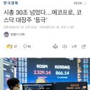 시총 30조 넘었다…에코프로, 코스닥 대장주 '등극' 이미지