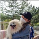 하림푸드 이미지
