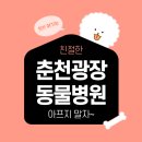 광장동물병원 이미지