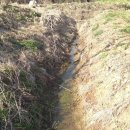 조양농원 이미지