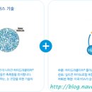 오아시스강남 이미지