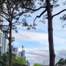 과천화담한의원 이미지