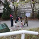 대궐오토캠핑장 이미지