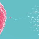 조희주비뇨의학과의원 이미지