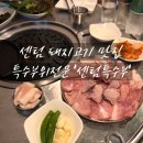 센텀특수부 이미지