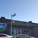 춘천 스프린골프 브라질스크린골프 솔직후기