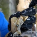 흑진주 - 부안군 시장길 16-2 | 흑진주