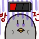 닭이랑떡이랑