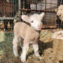 소리공원 이미지