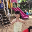 9월 5주 실외놀이 💗 이미지