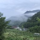 자미원 이미지
